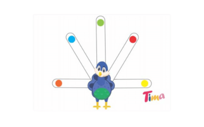 Tima et les séquences visuelles (jeu du paon)
